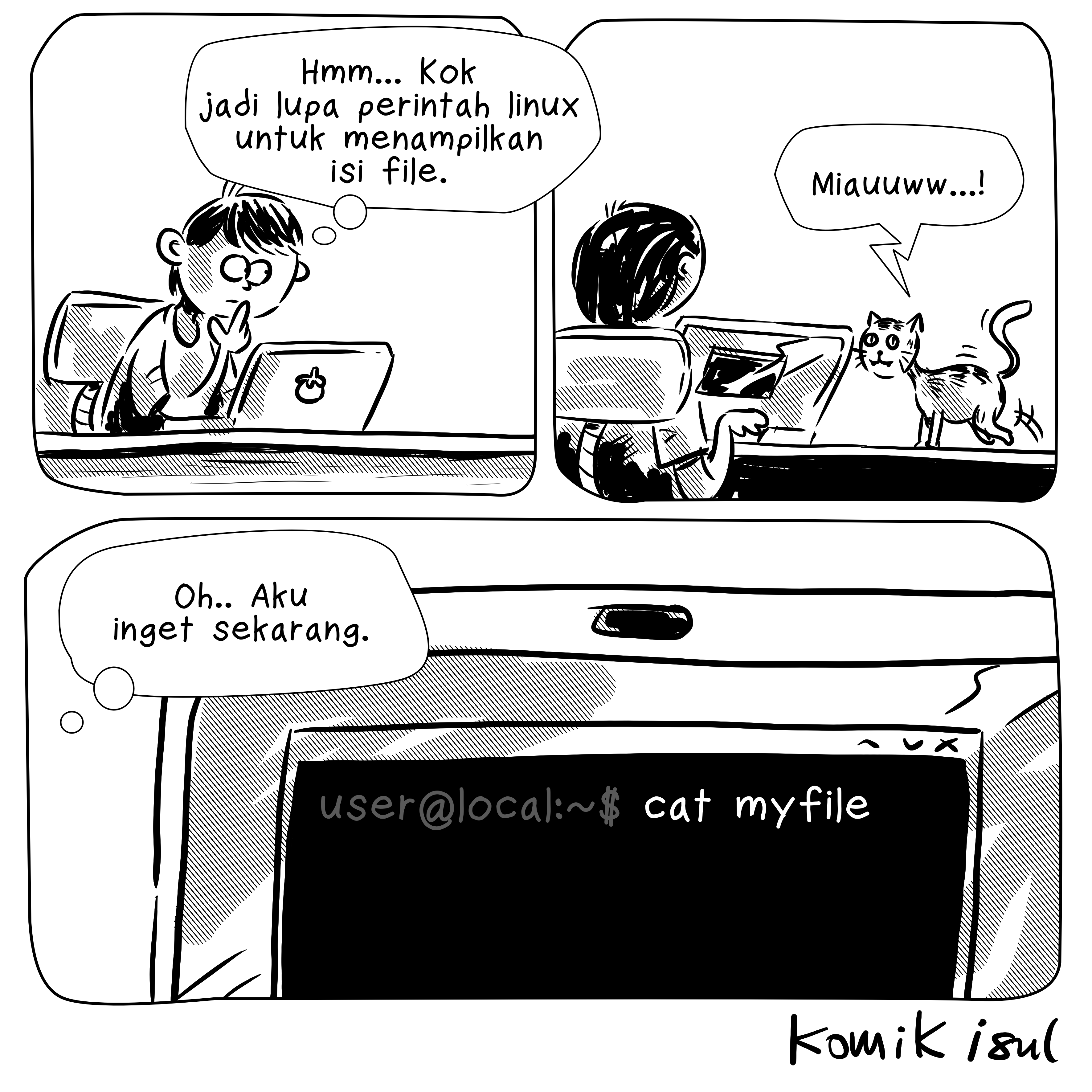 cat command